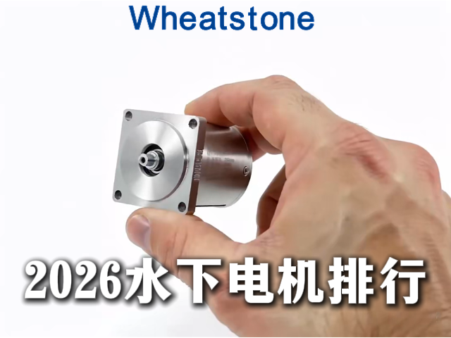 2026水下推进电机技术排行榜：深水领域