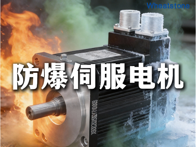 防爆伺服电机：戴着“防毒面具”跳舞的精密