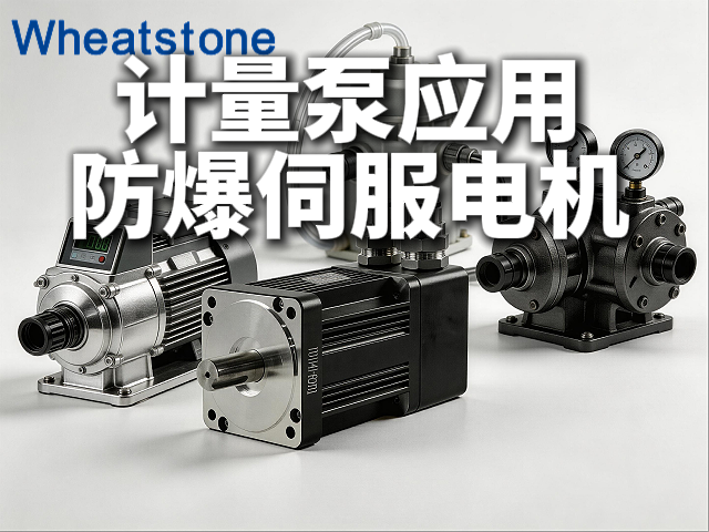 计量泵的“精准心跳”：防爆伺服电机如何让