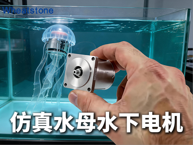 仿生水母“静默”深海，惠斯通定制电机为水