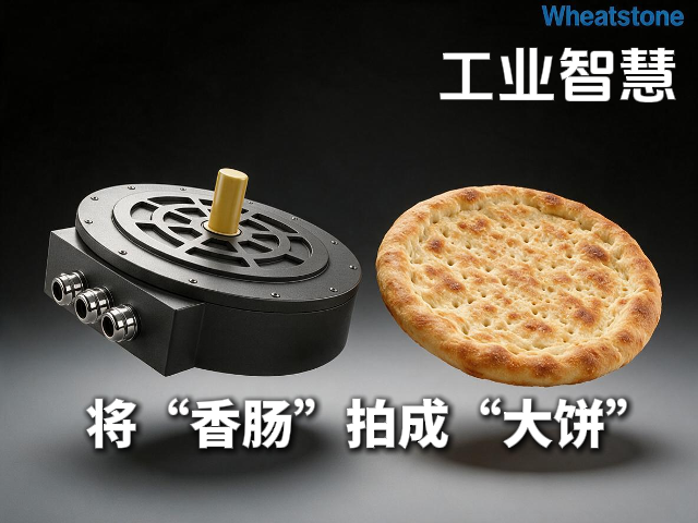 把“香肠”拍成“大饼”，惠斯通轴向磁通电
