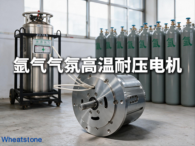 200℃氩气炉里连续运转，惠斯通高温电机